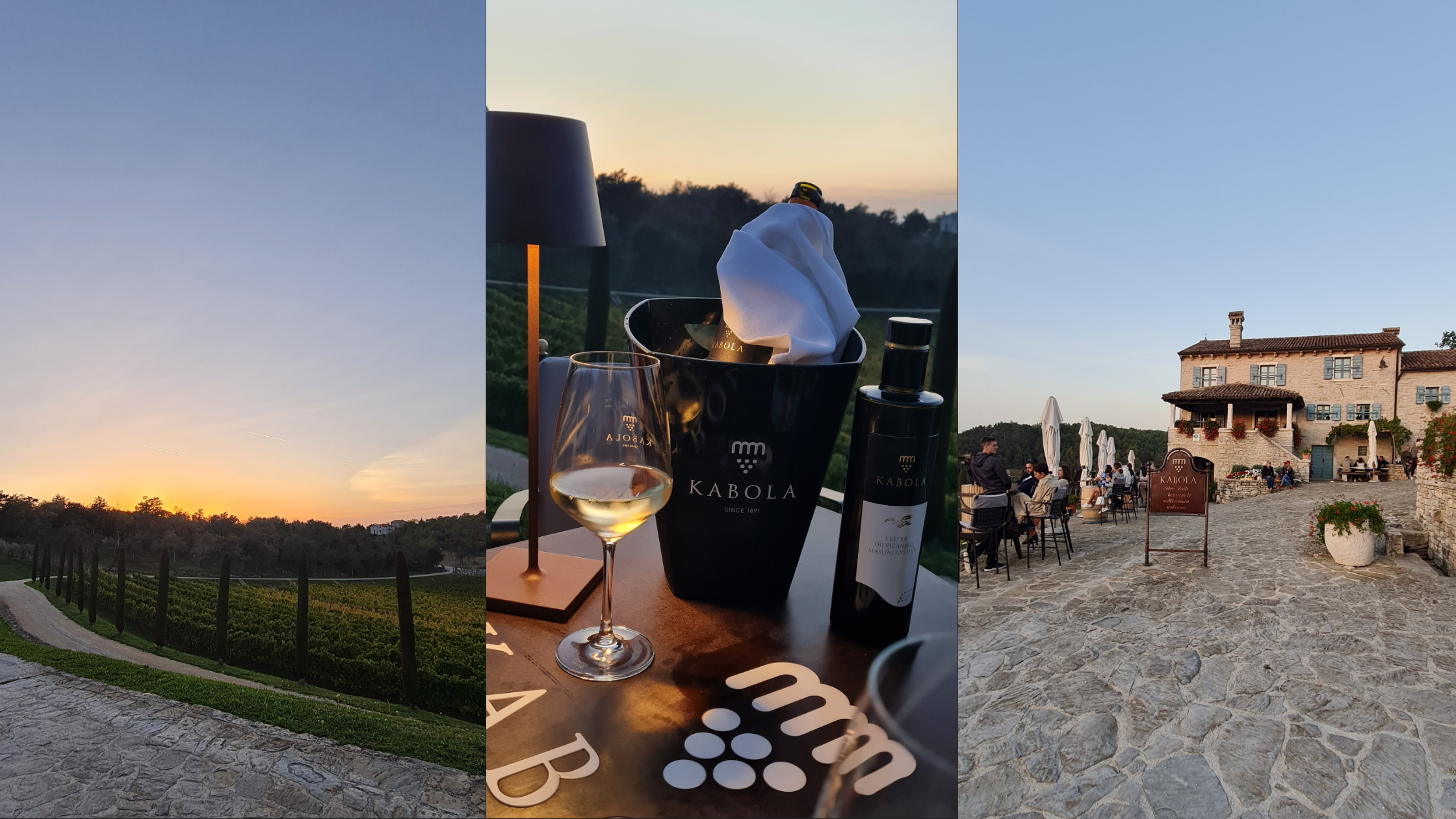 Beautiful experience of Kabola winery wine tasting