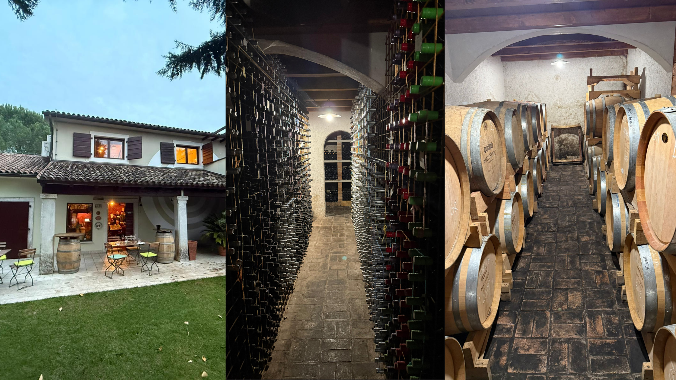 Terrace and wine cellar in Matosevic Winery