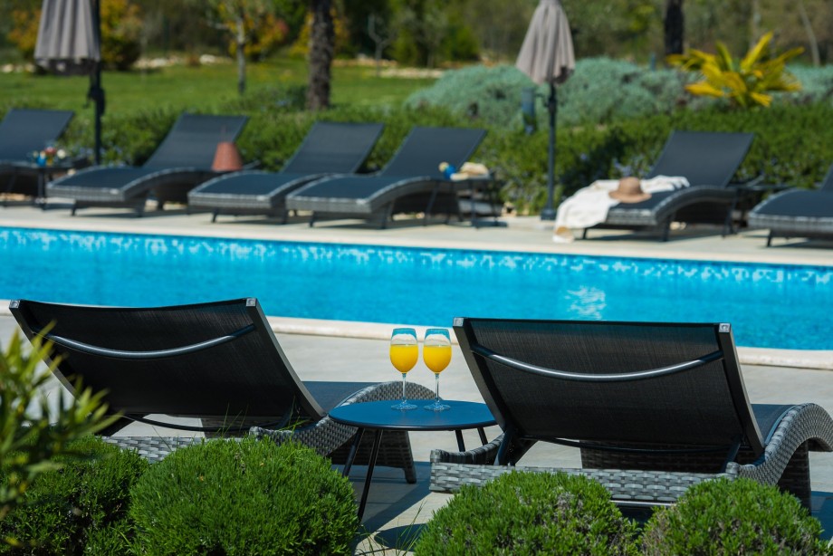 Istria villa with heated pool - Villa Duke Blue