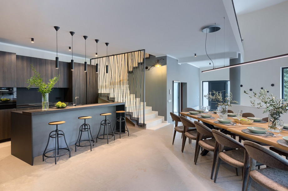 Modern kitchen in Villa Triumph Istra