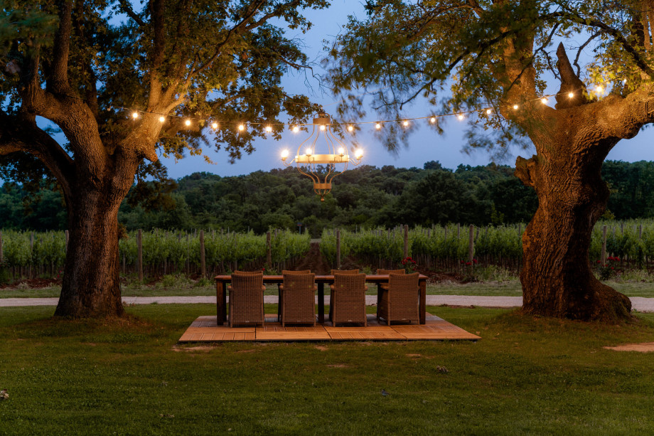 Villa Provansa Istria